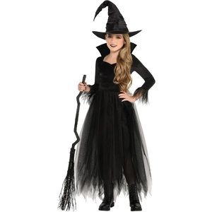 Kids' Fairytale Witch Costume - Large (12-14) + Spider Web Tights M/L
